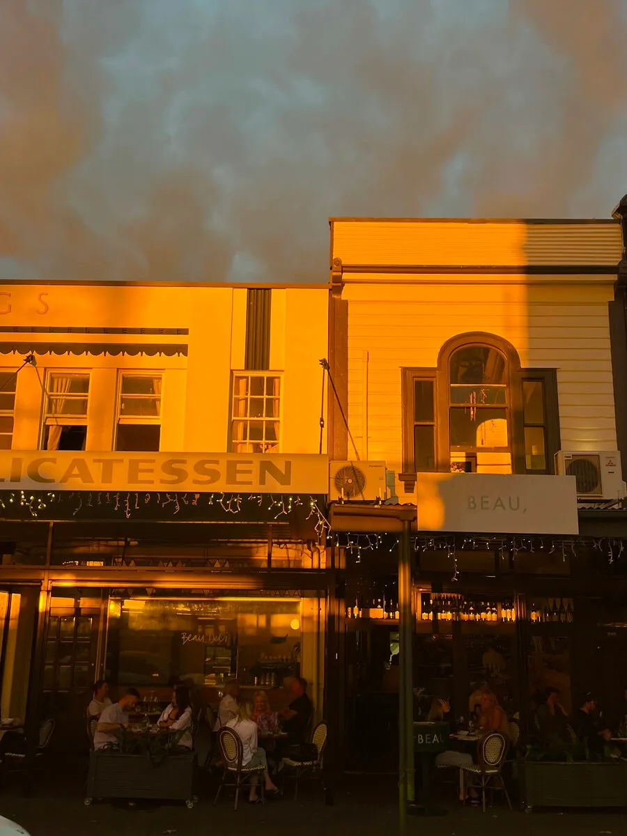 Sunlit wine bar seating at Beau in Ponsonby