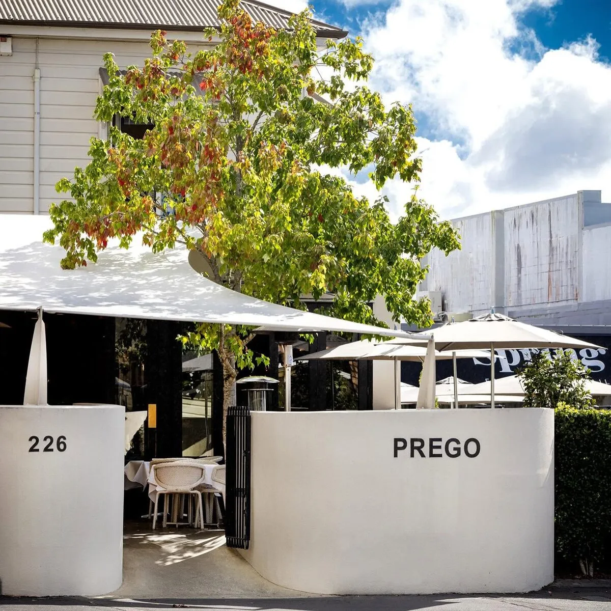 Leafy courtyard seating at Prego on Ponsonby Road